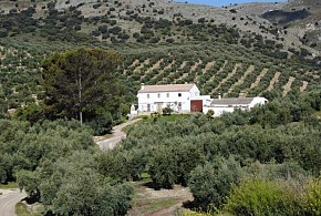CORTIJO LOS PETRONILOS