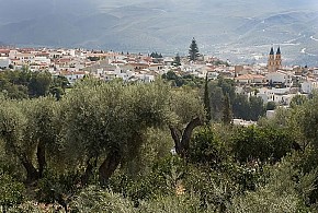 CORTIJO PUERTA