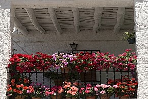 CORTIJO PUERTA