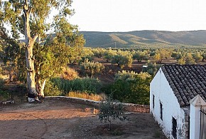 CORTIJO SALIDO BAJO