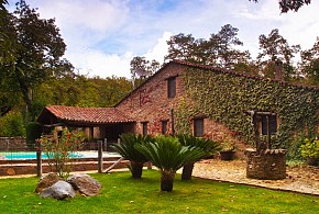 EL CASTAÑAR DE ARACENA