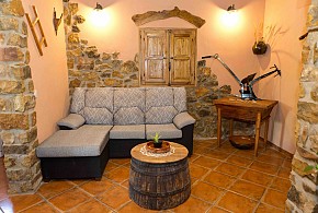EL NIU DEL PARDAL