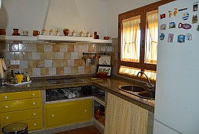 EL OLIVO DEL MORENO