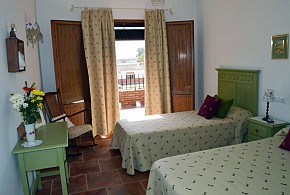 EL OLIVO DEL MORENO