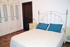 EL OLIVO DEL MORENO