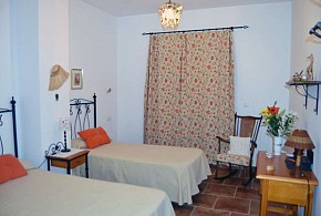EL OLIVO DEL MORENO