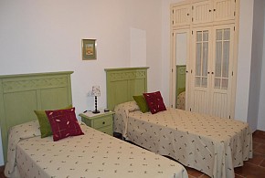 EL OLIVO DEL MORENO