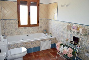 EL OLIVO DEL MORENO
