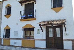 EL OLIVO DEL MORENO