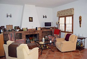 EL OLIVO DEL MORENO