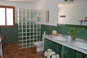 EL OLIVO DEL MORENO