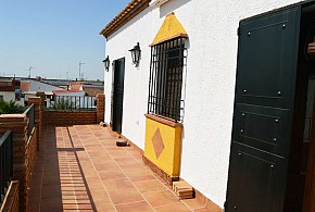 EL OLIVO DEL MORENO
