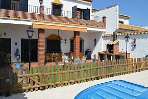 EL OLIVO DEL MORENO