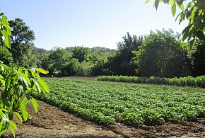 EL PARAISO