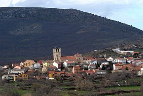 ESTRELLA RURAL
