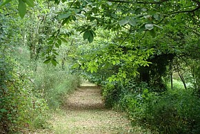 FINCA A COUTADA
