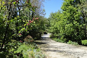 FINCA A COUTADA