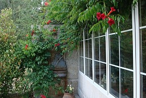 FINCA A COUTADA