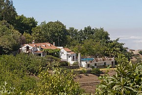 FINCA CASA NANITA