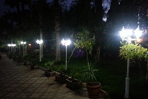 FINCA REAL DE NIEBLA