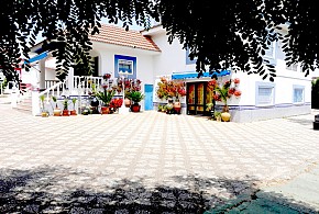 FINCA REAL DE NIEBLA