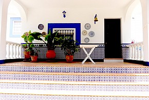 FINCA REAL DE NIEBLA