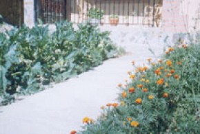 FUERTE SAN MAURICIO