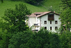 GOROSTIPALEKO BORDA
