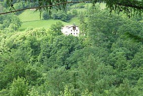 GOROSTIPALEKO BORDA