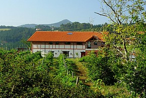 H&AP RURAL MERRUTXU