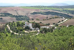 HOTEL RURAL CORTIJO BARRANCO