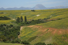 HOTEL RURAL CORTIJO BARRANCO