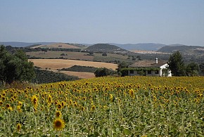 HOTEL RURAL CORTIJO BARRANCO