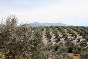HOTEL RURAL POSADA DEL CORDOBÉS
