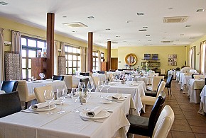 HOTEL VILLA NAZULES