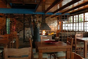 LA CASONA DE NAVALENO