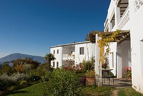 LA OVEJA VERDE