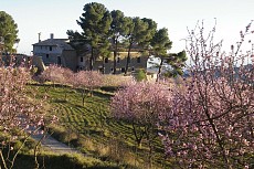 LA TORRETA DE AITANA