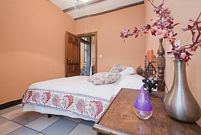 LANJARON RURAL - APARTAMENTO VELETA