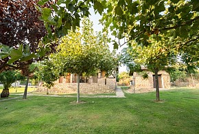 LAS CABAÑAS DE LA VERA