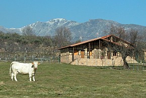 LAS CABAÑAS DE LA VERA