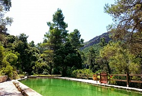 MOLI DE SOTORRES