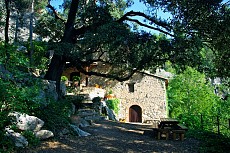 MOLI DE SOTORRES