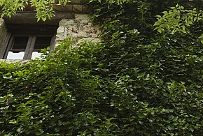 MOLI DE SOTORRES