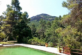 MOLI DE SOTORRES