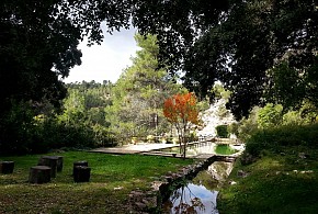 MOLI DE SOTORRES