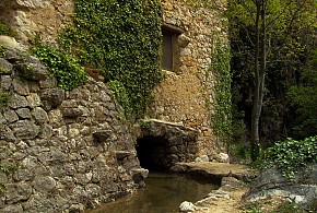 MOLI DE SOTORRES