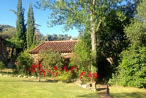 MOLINO RIO ALAJAR