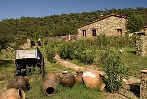 MOLINO RIO ALAJAR