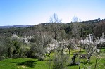 MONTEMATEO COUNTRY HOUSE